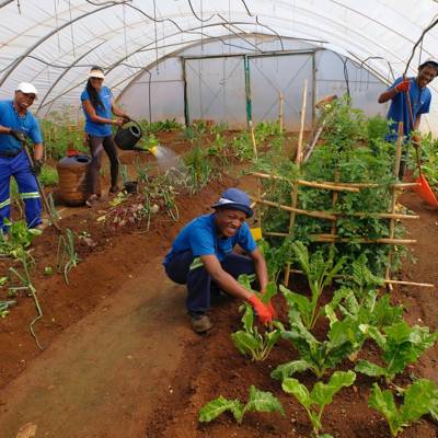 Help The Winnie Mabaso Foundation by Donating garden tools for Our garden team 