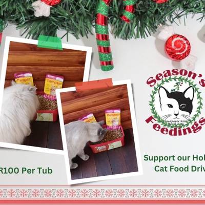 Help Sandpaper Kisses Fundraising SA - Feral Cats by donating food or R100  for our Christmas food drive