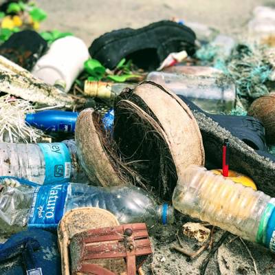 Help LIV Durban with 10 volunteers for a Waste Audit