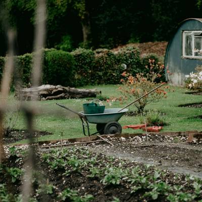 Help Corinthians NPO by donating rakes, shovels, hosepipe and other equipment. for plowing and maintaining vegetable garden 