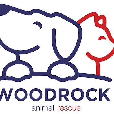 Help Woodrock Animal Rescue raise R50,000 for sustainability