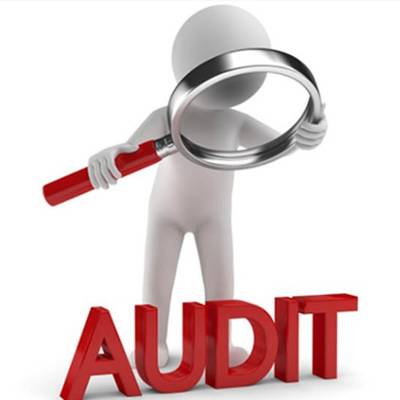 Help Community Wellness Project NPO with 3 volunteers for auditing