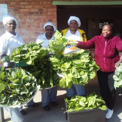 Help Food Security Program by buying a bunch of vegetables for R15.00 from Growers for learners at Early Childhood Development Centres. 