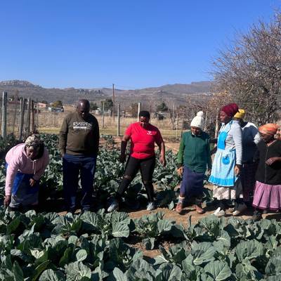 Help Kuwane Foundation by Bakkie for Delivery of vegetables 