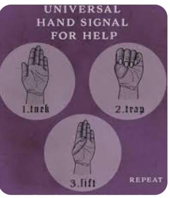 Help Human Rights Screened Foundation with 3 volunteers for "Requesting a basic camera to record Hand Signal for He