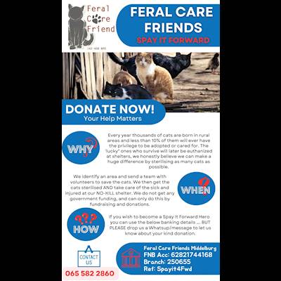 Help Feral Care Friends Middelburg NPO No 142-408 raise R20,000 for Spayit4Fwd Initiative