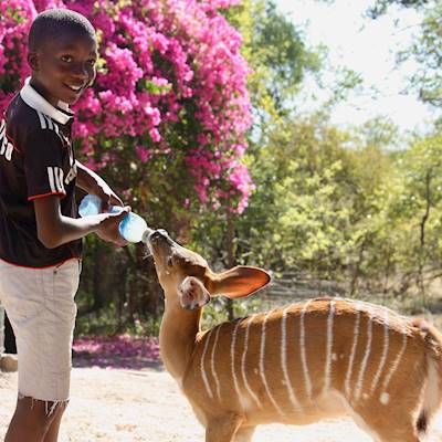 Help DAKTARI Bush School & Wildlife Orphanage raise R100,000 for our wildlife orphanage so we can provide them with food